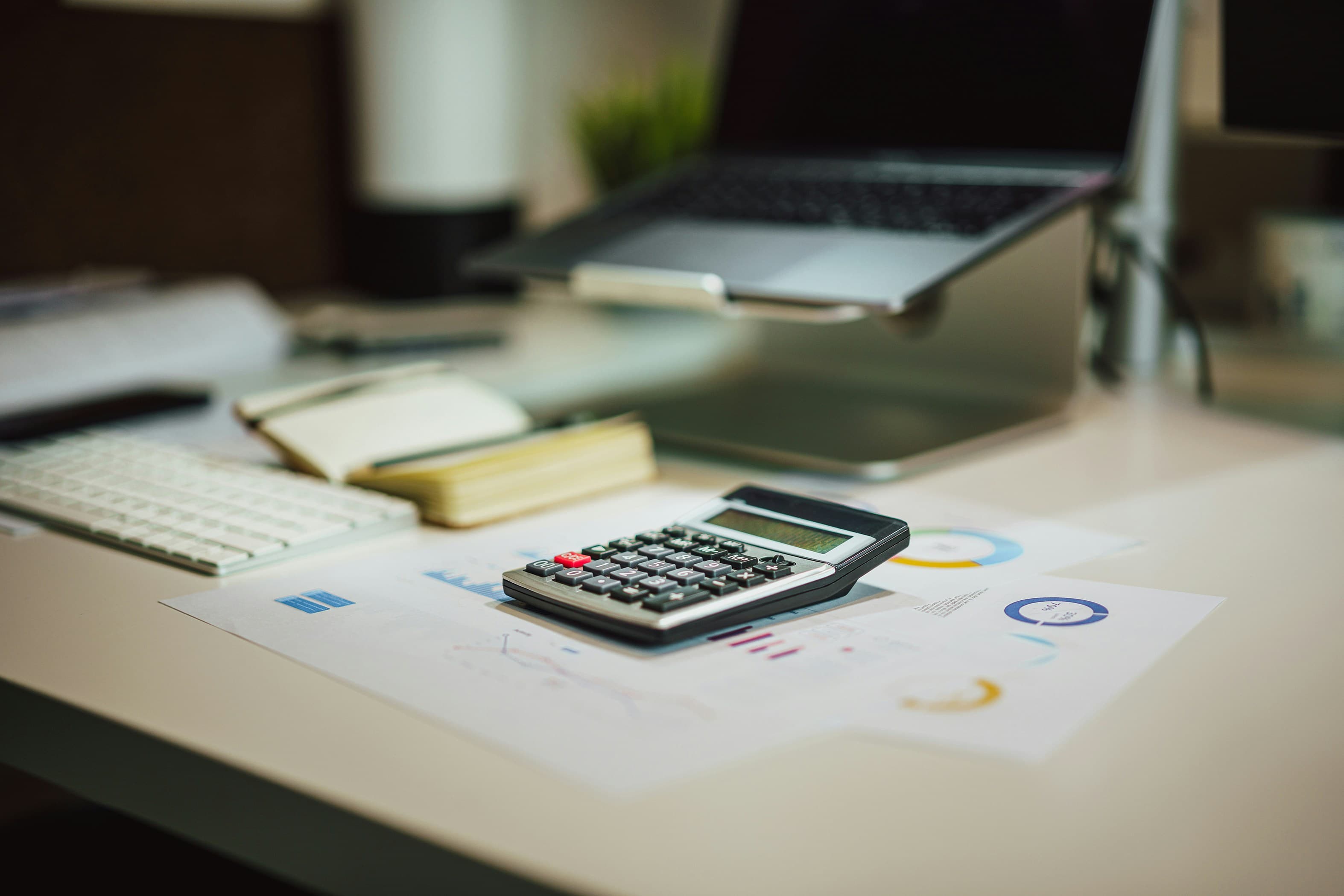 Professional Accounting Services